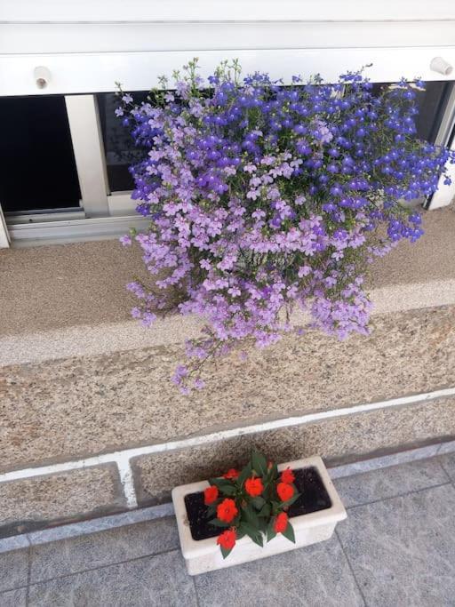 Precioso Apartamento En San Vicente De O Grove Сан Висенте де О Грове Екстериор снимка